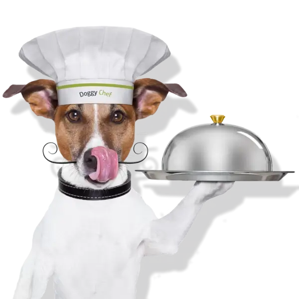 DoggyChef Personalisation Service Transparent (600x600) | Premium Raw Food for Cats and Dogs | Raw Dog Food | Raw Cat Food | Raw Food for Pets | BARF | PREY | PMR
