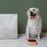 How Pet Food Companies Legally Deceive You: Reading Labels Like a Pro