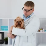 Epilepsy and Seizures in Pets