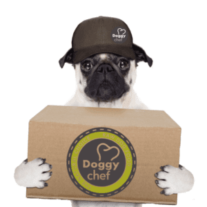 DoggyChef Home Delivery Services | Premium Raw and Par Cooked Food for Cats and Dogs | Dog Food | Cat Food | Food for Pets | BARF | PREY | PMR