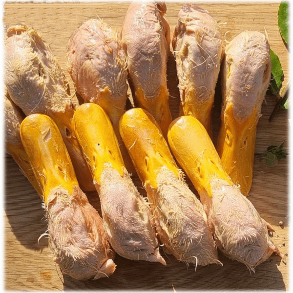 DoggyChef | Raw Duck Heads Whole | Raw Dog Food | Raw Cat Food | Raw Food for Pets | BARF | PREY | PMR