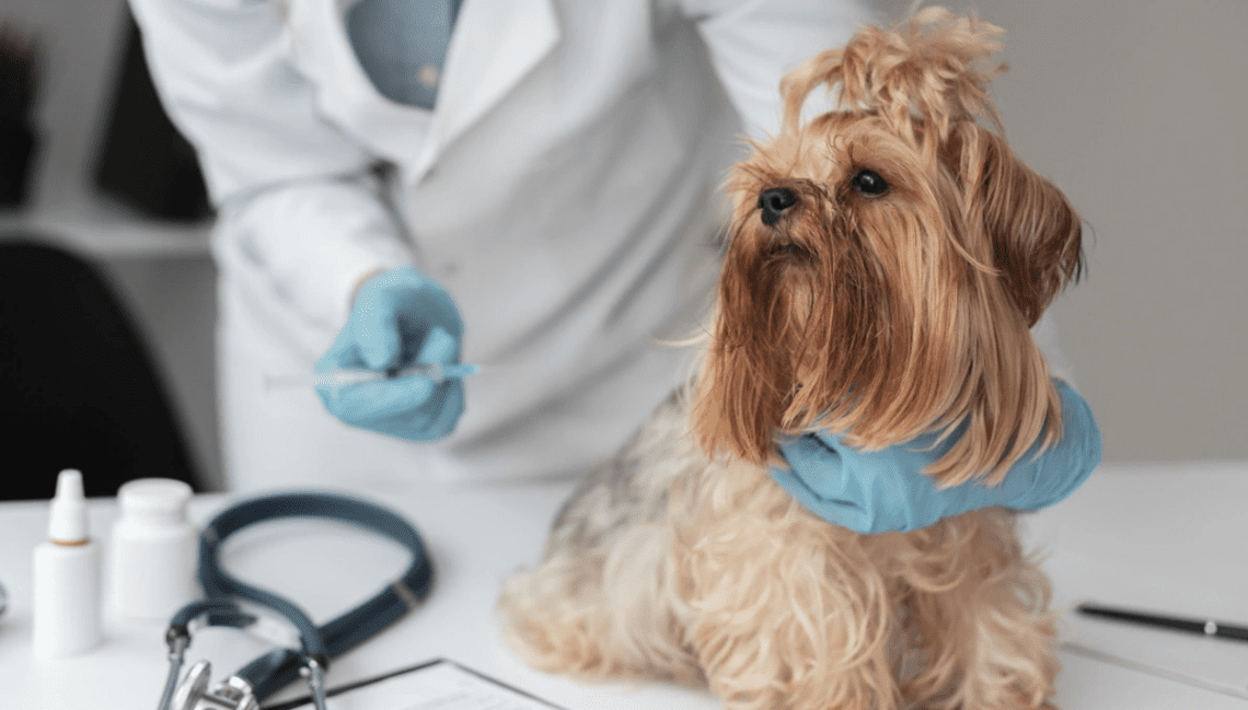 Diabetes, the New Epidemic