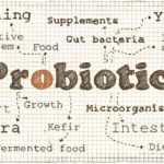 Probiotics for Cats and Dogs