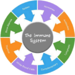 The Sum of the Whole