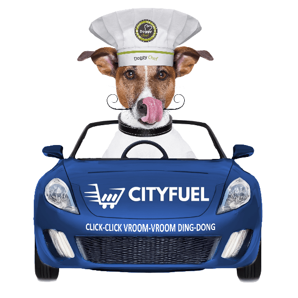 Doggy Chef On-Demand - Same Day Delivery! 