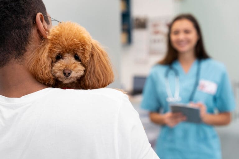 Why Pets Are Sicker Than Ever: The Modern Pet Health Crisis Explained