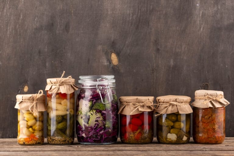 The Fermented Foods Revolution: Ancient Nutrition for Modern Pets